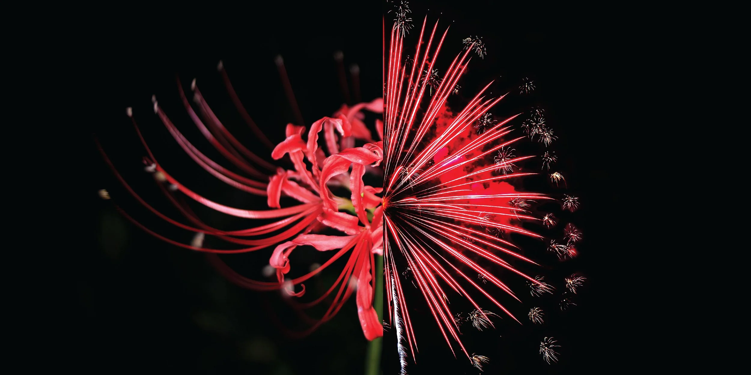 About — Hanabi Hibachi & Sushi